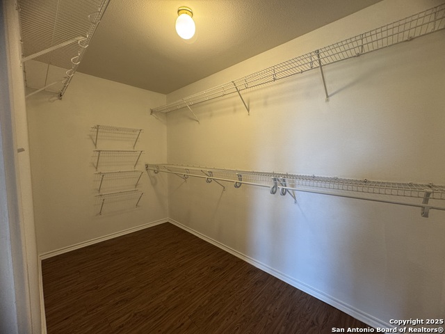 Image 25 of 27 For 25715 Gold Yarrow