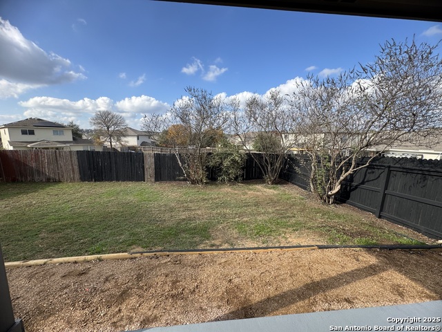 Image 5 of 27 For 25715 Gold Yarrow