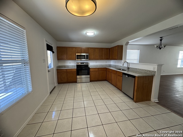 Image 8 of 27 For 25715 Gold Yarrow