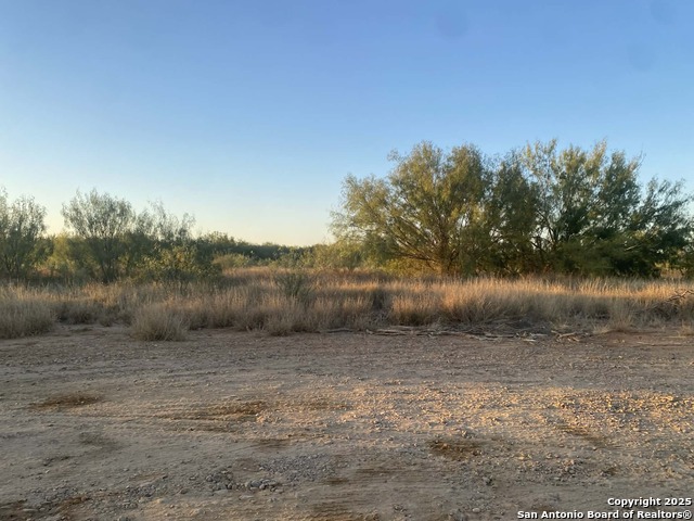 Details for 117 Fm W , Dilley, TX 78017