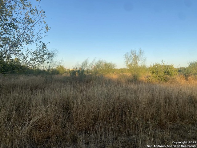 Image 6 of 8 For 117 Fm W 