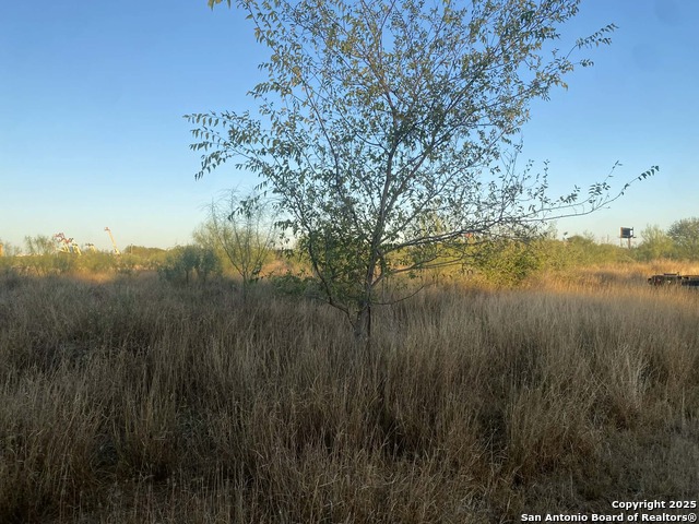 Image 8 of 8 For 117 Fm W 