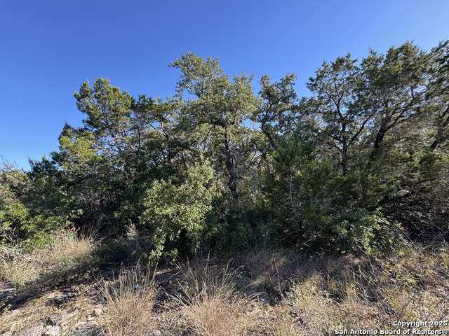 Image 10 of 21 For Lot 193 County Road 2801