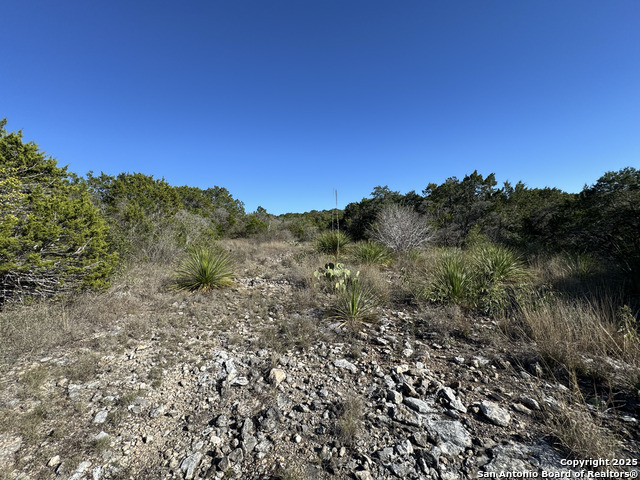 Image 11 of 21 For Lot 193 County Road 2801