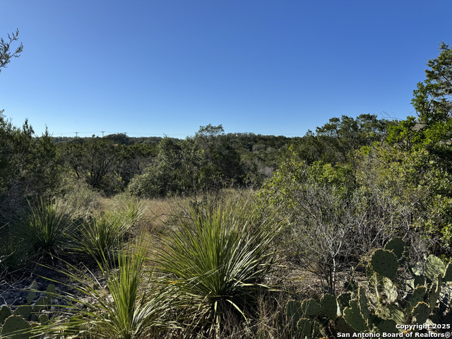 Image 12 of 21 For Lot 193 County Road 2801