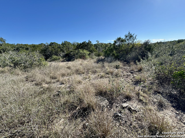 Image 4 of 21 For Lot 193 County Road 2801