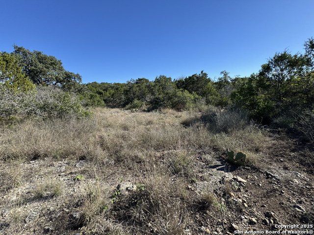 Image 5 of 21 For Lot 193 County Road 2801