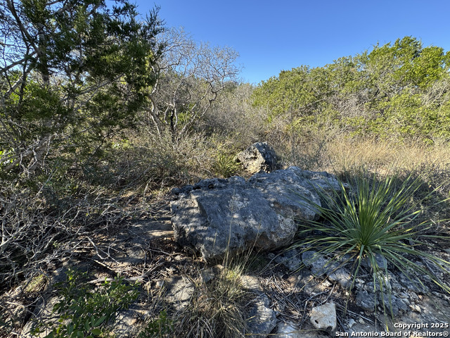 Image 6 of 21 For Lot 193 County Road 2801