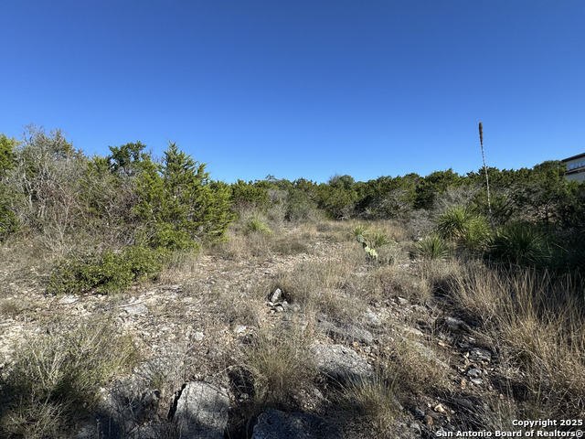 Image 8 of 21 For Lot 193 County Road 2801