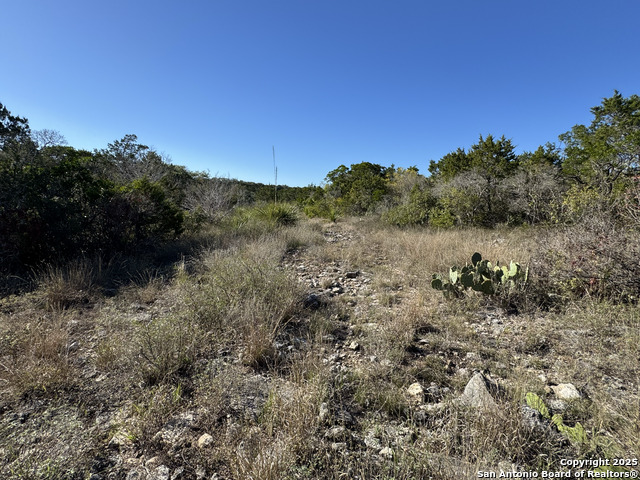 Image 9 of 21 For Lot 193 County Road 2801