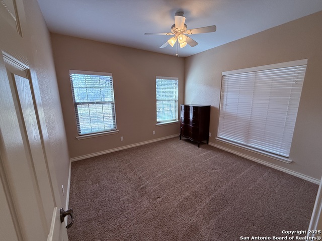 Image 21 of 45 For 250 Palomino