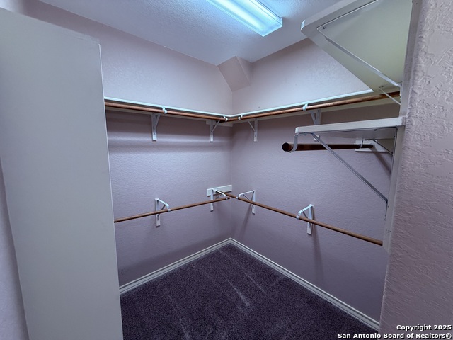 Image 26 of 45 For 250 Palomino