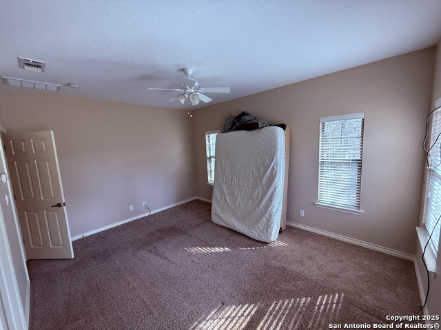 Image 28 of 45 For 250 Palomino