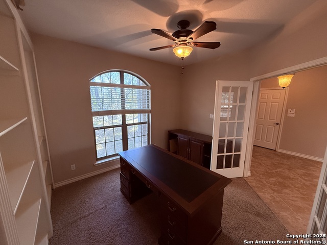 Image 29 of 45 For 250 Palomino