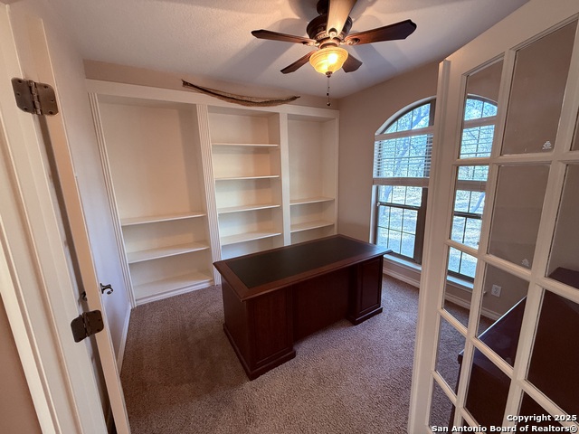 Image 30 of 45 For 250 Palomino