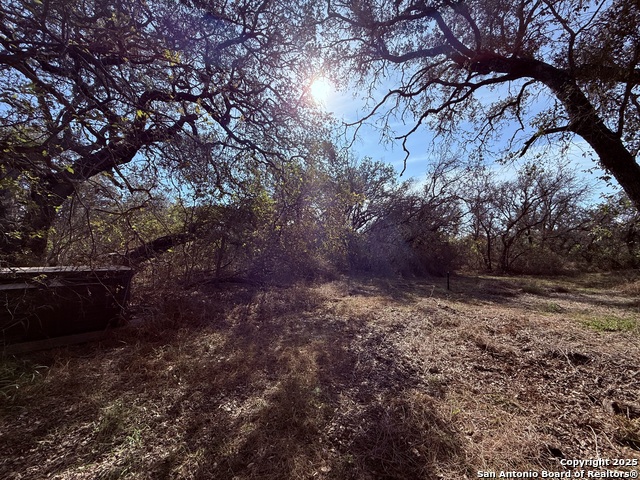 Image 32 of 45 For 250 Palomino