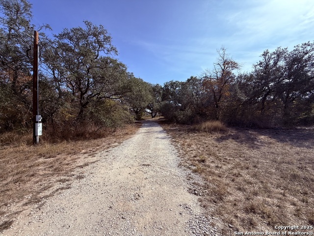 Image 42 of 45 For 250 Palomino