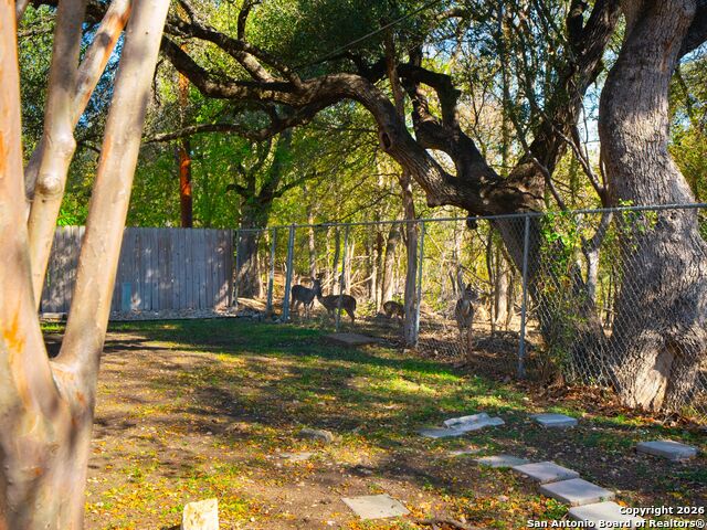 Image 22 of 27 For 14022 Tree Crossing