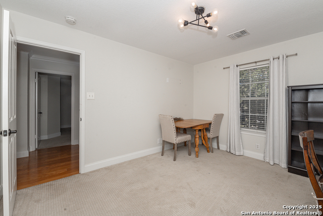 Image 21 of 27 For 13507 Muses