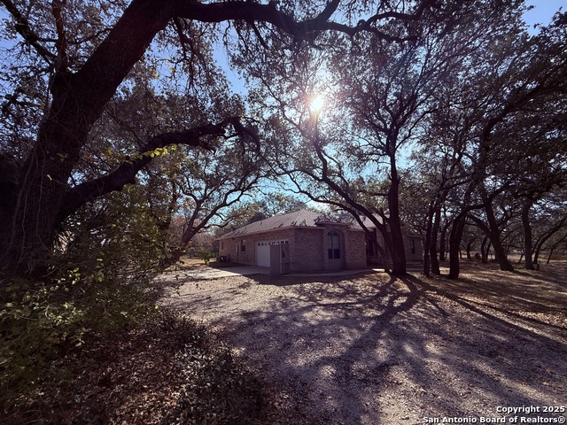 Image 13 of 45 For 250 Palomino