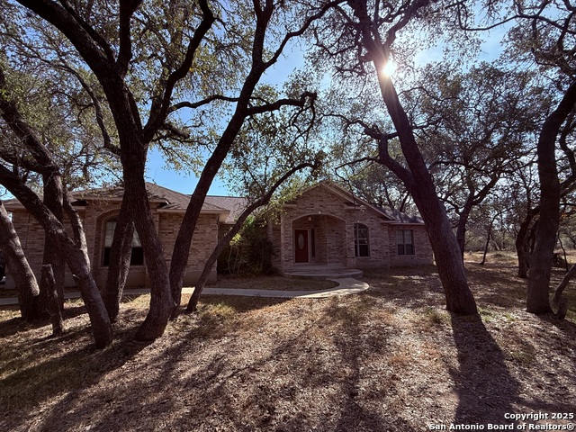 Image 2 of 45 For 250 Palomino