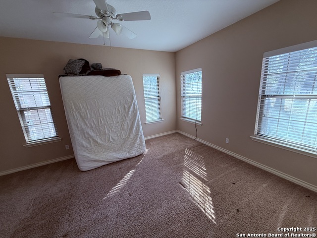 Image 22 of 45 For 250 Palomino