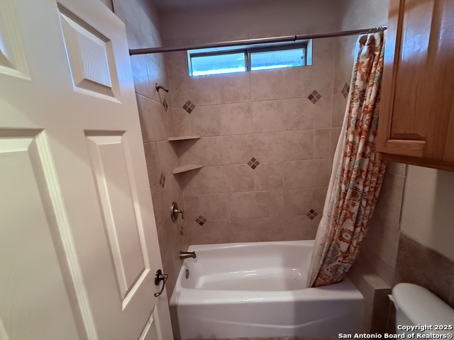 Image 23 of 45 For 250 Palomino