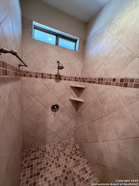 Image 28 of 45 For 250 Palomino