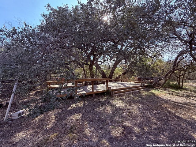 Image 33 of 45 For 250 Palomino