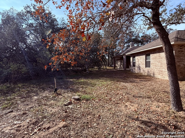 Image 34 of 45 For 250 Palomino