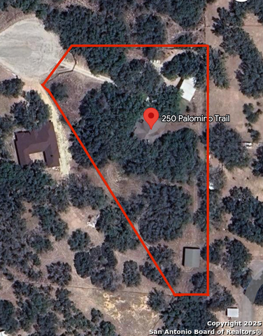 Image 45 of 45 For 250 Palomino