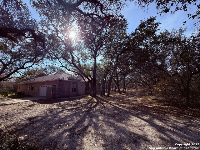 Image 6 of 45 For 250 Palomino