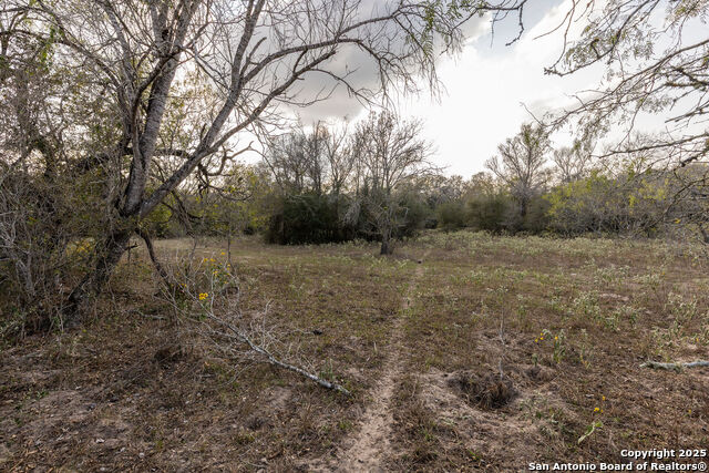 Listing photo id 8 for Tbd Cr 345  