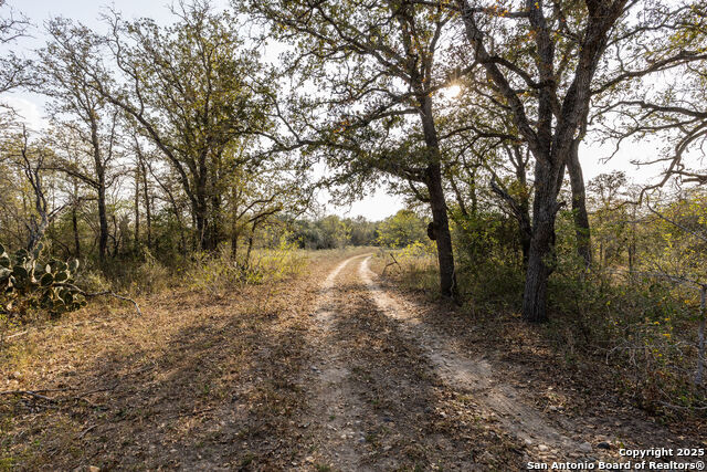 Listing photo id 9 for Tbd Cr 345  