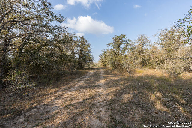 Listing photo id 10 for Tbd Cr 345  