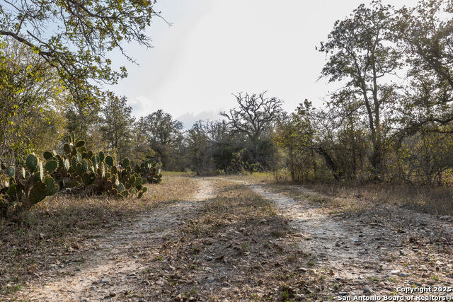 Listing photo id 11 for Tbd Cr 345  