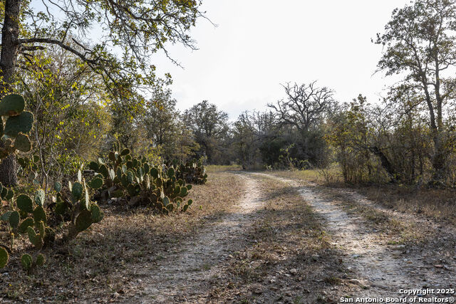 Listing photo id 12 for Tbd Cr 345  