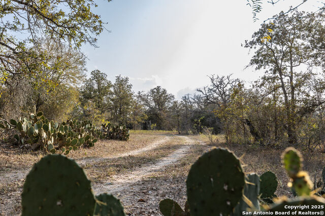 Listing photo id 13 for Tbd Cr 345  