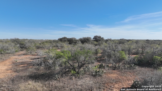 Image 10 of 18 For 001 Cr 307  