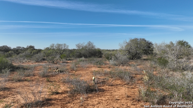 Image 12 of 18 For 001 Cr 307  