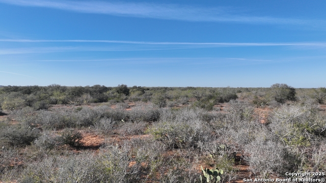 Image 13 of 18 For 001 Cr 307  