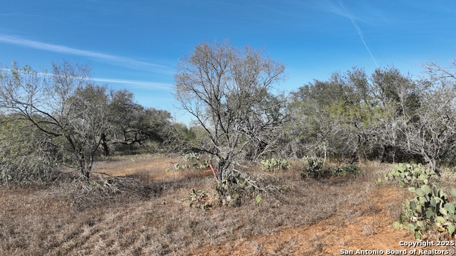 Image 4 of 18 For 001 Cr 307  