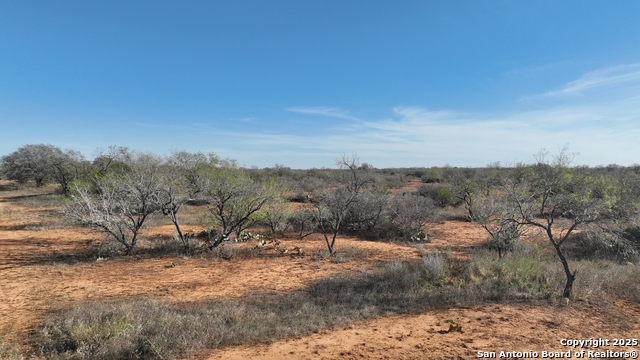 Image 7 of 18 For 001 Cr 307  