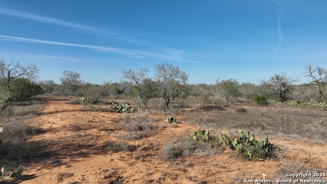 Image 9 of 18 For 001 Cr 307  