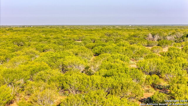 Image 2 of 9 For 5 Cr 331 E  