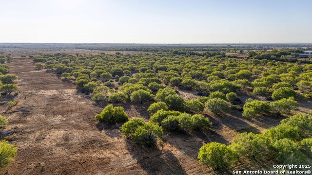 Image 3 of 9 For 5 Cr 331 E  