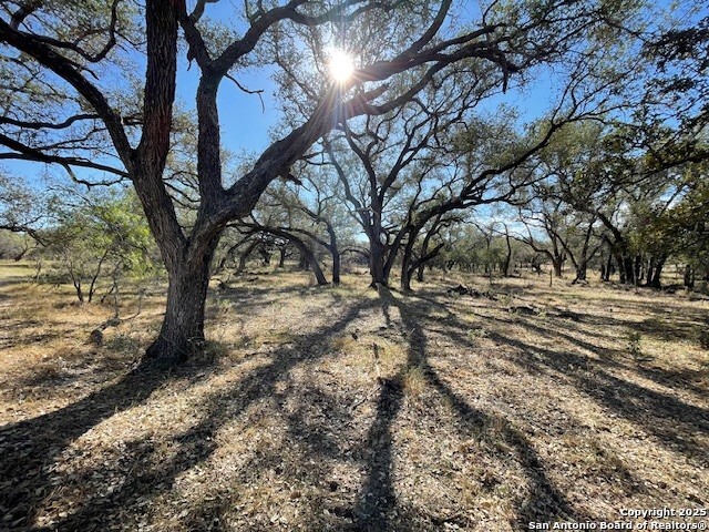 Image 6 of 10 For 1384 County Road 326