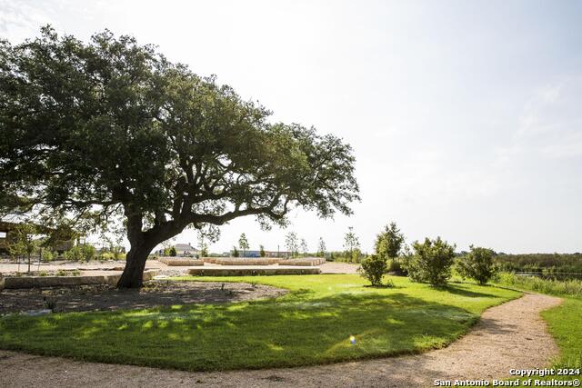 Listing photo id 6 for 8206 Chalk Trace