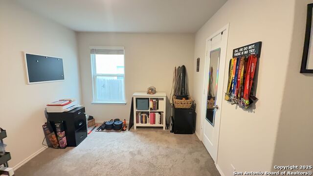 Image 11 of 14 For 9930 Spotted Rose