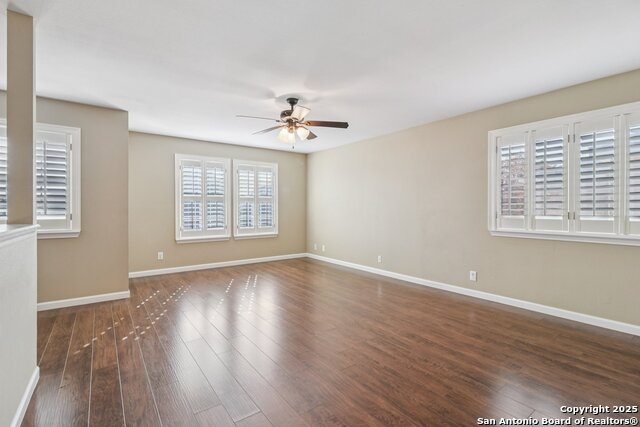 Image 24 of 33 For 12639 Mexican Plum